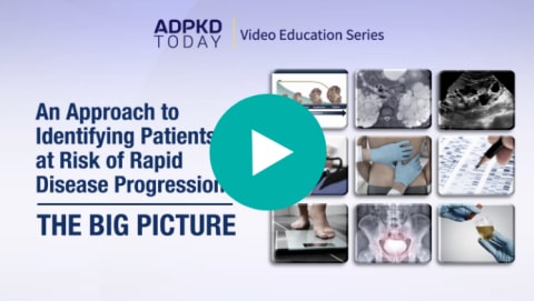 The Big Picture: An Approach to Identifying Patients at Risk of Rapid Disease Progression, Video