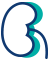 Kidney outline icon
