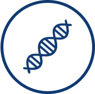 DNA strand icon