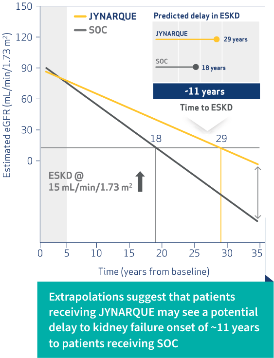 Predicted effects of JYNARQUE on eGFR out to 35 years, Graph