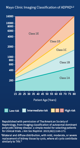 Imaging Classification of ADPKD, Graph