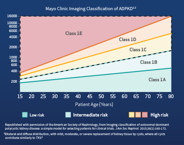Imaging Classification of ADPKD, Graph