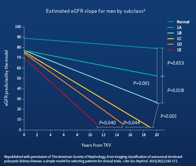 Estimated eGFR Slope for Men by Subclass, Chart